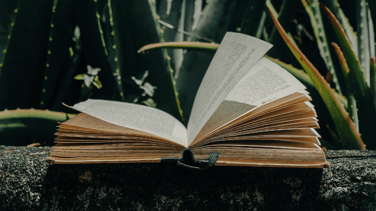 6 Langkah Menulis Buku Monograf yang Wajib Dosen Ketahui